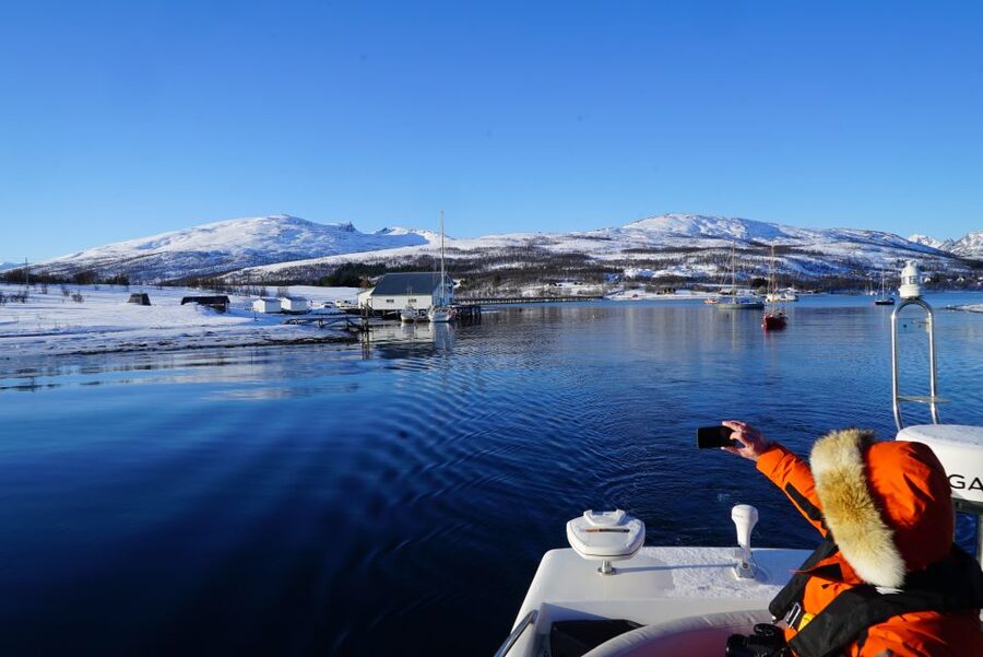 Tromsø: Fjord Cruise by Luxury Yacht - Grindøya, Sørbotn, and remote Arctic water