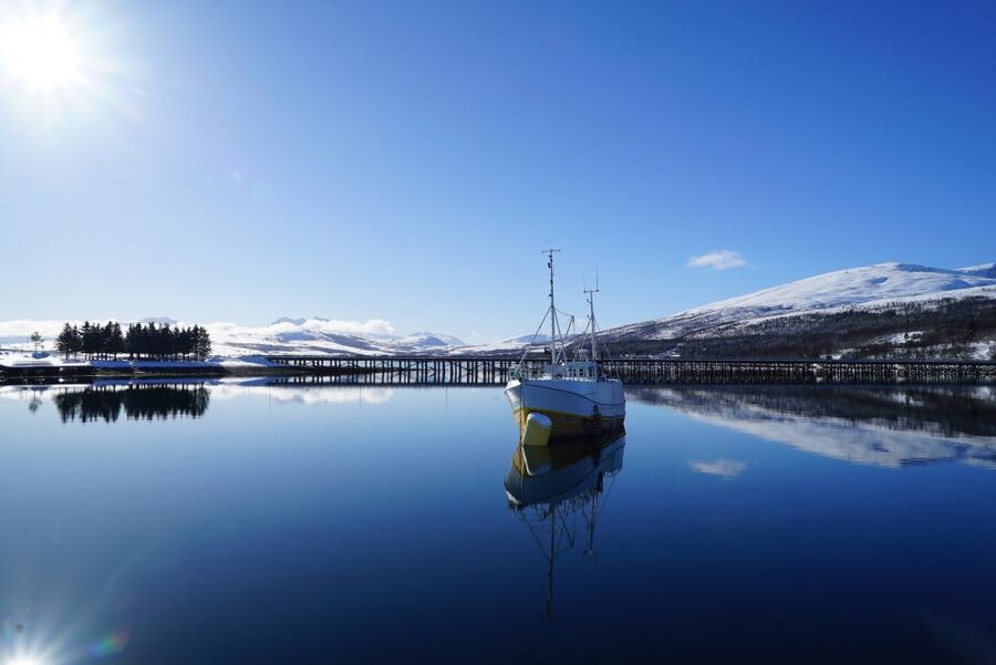 Tromsø: Fjord Cruise by Luxury Yacht - Fish soup on the return journey