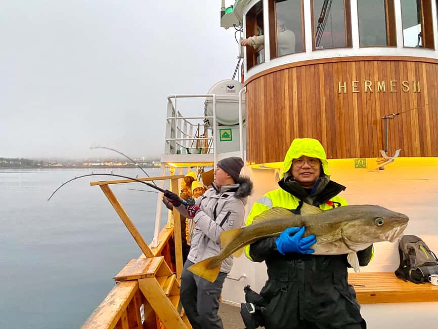 Tromsø: Fjord Fishing Cruise - Key points to know before booking