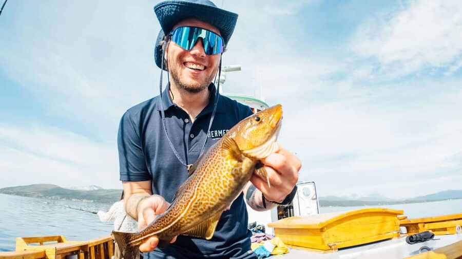 Tromsø: Fjord Fishing Cruise - What to bring and what not to expect