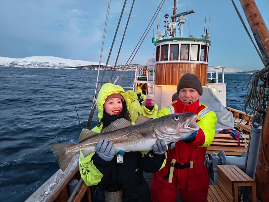 Tromsø: Fjord Fishing Cruise - How the fishing works on a five-rod boat
