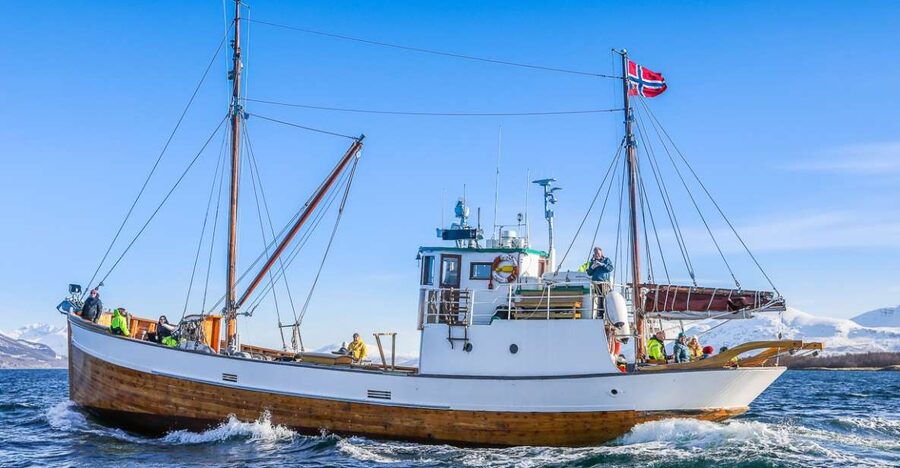 Tromsø: Fjord History Cruise with Snack and Drinks - Key points to know before booking
