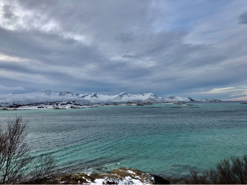 Tromsø: Fjords and Sommarøy Islands Tour with Salmon Picnic - Key points at a glance
