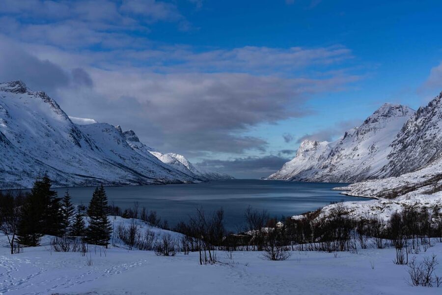 Tromsø: Fjords & Beaches Tour with Campfire and Arctic Food - Key points to know before you book