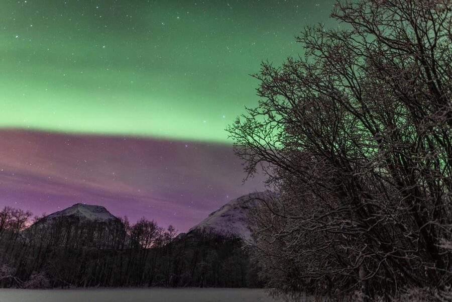 Tromsø: Fjords & Beaches Tour with Campfire and Arctic Food - Who will enjoy this most