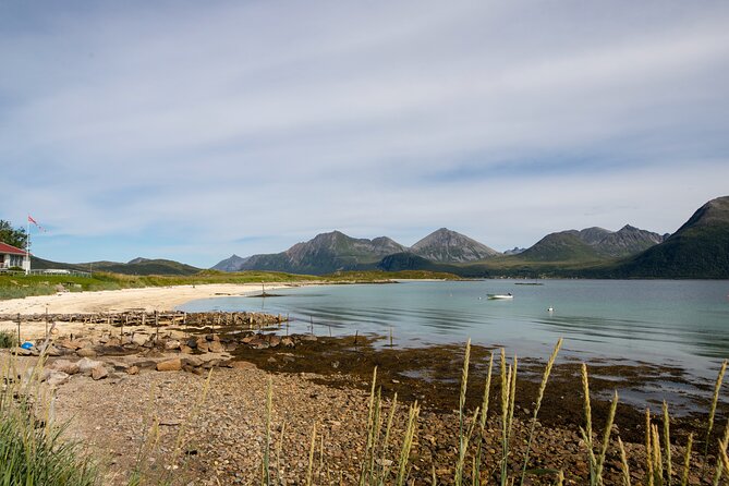 Tromso fjords road trip with fire in grill cabin by the beach. - A guide-led drive with a small group