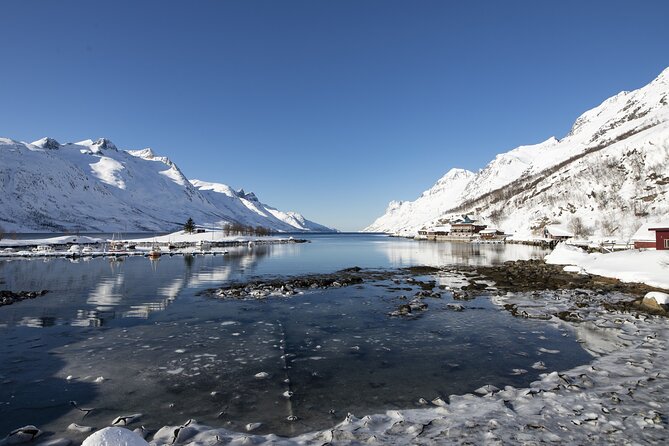 Tromso fjords road trip with fire in grill cabin by the beach. - Who will enjoy this experience most?