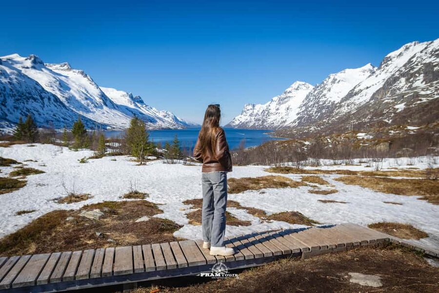 Tromso: Guided Fjord Expedition in Kvaløya with Light Lunch - Scenic roads, short stops, and changing weather