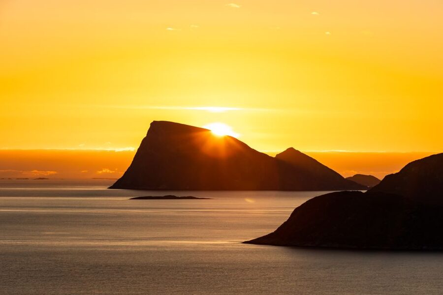 Tromso: Guided Fjord Expedition in Kvaløya with Light Lunch - Wildlife: what you might actually see