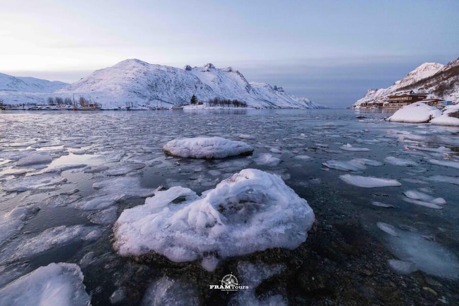 Tromso: Guided Fjord Expedition in Kvaløya with Light Lunch - The first Kvaløya viewpoint