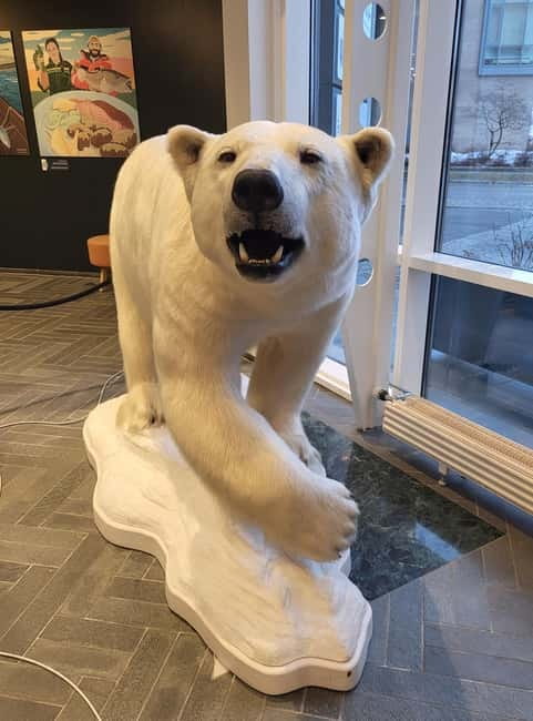 Tromsø: Guided Polar Bear Walk incl. Polaria & Polar Museum - What the $93 price includes