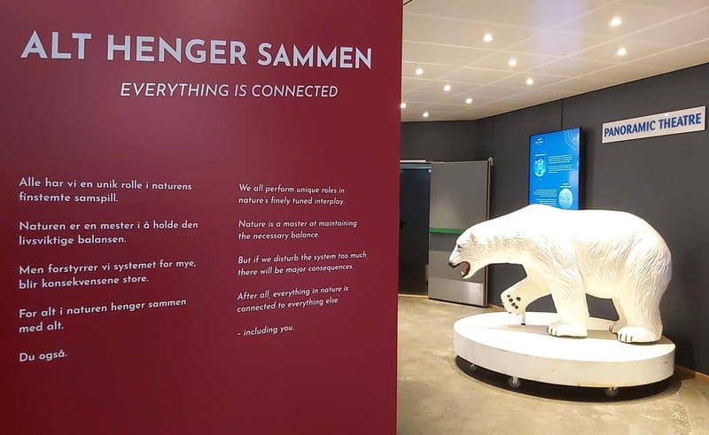 Tromsø: Guided Polar Bear Walk incl. Polaria & Polar Museum - How the three hours work for you