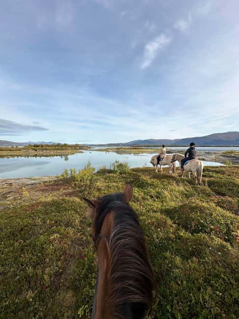 Tromsø: Horseback Riding Tour - Why this ride feels different from a standard trail tour