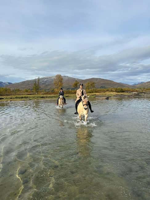 Tromsø: Horseback Riding Tour - Sixty to 75 minutes on horseback
