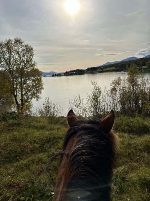 Tromsø: Horseback Riding Tour - What the $215 price gets you