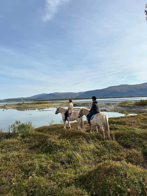 Tromsø: Horseback Riding Tour - Starting at Marisletta gård on Kvaløya