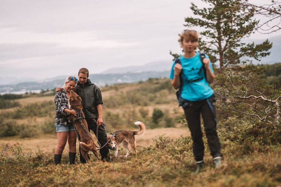 Tromsø: Husky Hike and Puppy Visit with Traditional Lunch - Lunch in a Sami lavvo beside the fire