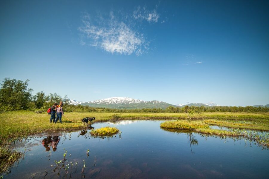 Tromsø: Husky Hike and Puppy Visit with Traditional Lunch - Is $146 a fair price?