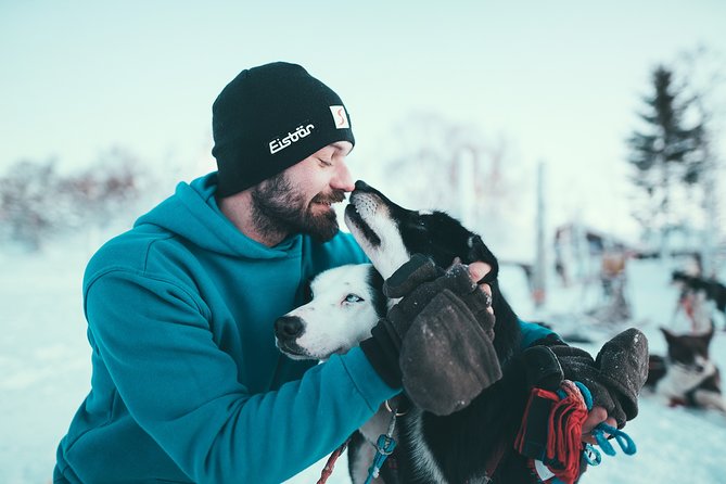 Tromso Husky Self-Drive Sledding with Cake and Drink in Lavvu - Learning to brake, steer, and follow the guide
