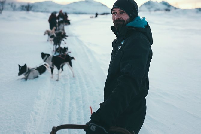 Tromso Husky Self-Drive Sledding with Cake and Drink in Lavvu - Seventy to eighty minutes across the Arctic countryside