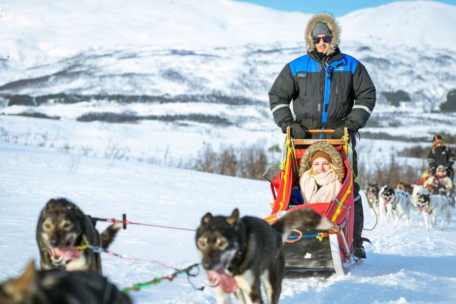 Tromsø: Husky Sled Self-Drive with Traditional Lunch - Practical tips for a smoother outing
