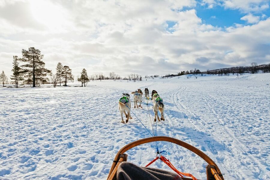 Tromsø: Husky Sled Self-Drive with Traditional Lunch - Warming up in the Gamme-hut