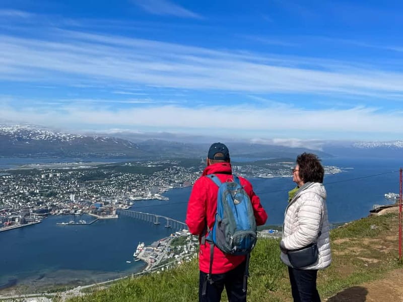 Tromsø: Island Tour & Cable Car with Tromsø Accessible Tours - The Arctic Cathedral is a brief but worthwhile stop