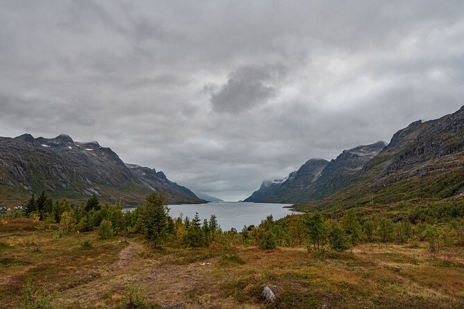 Tromsø: Kvaløya & Sommarøy Guided Fjord Tour with Lunch - Weather is not a footnote in Tromsø