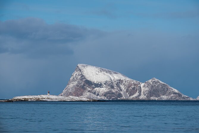 Tromsø: Kvaløya & Sommarøy Guided Fjord Tour with Lunch - Who should book this Sommarøy tour?