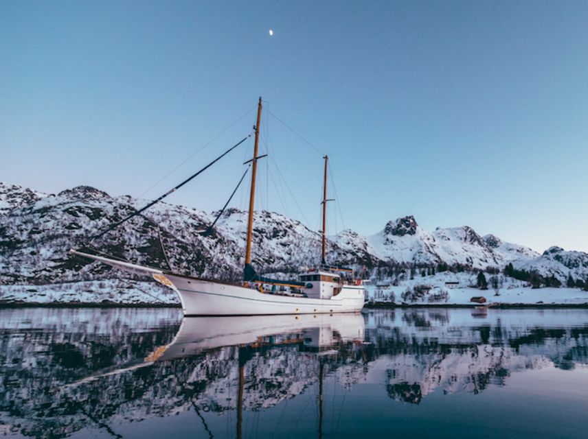 Tromso: Luxury Northern Lights Cruise with Hot Tub & Dinner - Is $309 a fair price?