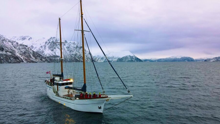 Tromsø: Luxury Polar Fjord Cruise w/ Hot Tub & Polar Plunge - A luxury yacht instead of a standard fjord boat