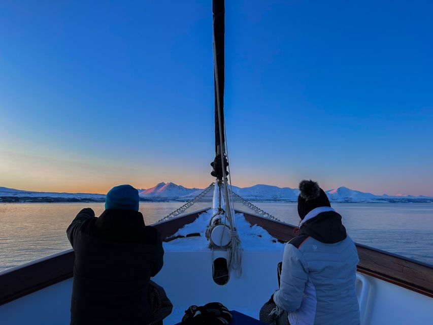 Tromsø: Luxury Polar Fjord Cruise w/ Hot Tub & Polar Plunge - What the half-day cruise feels like