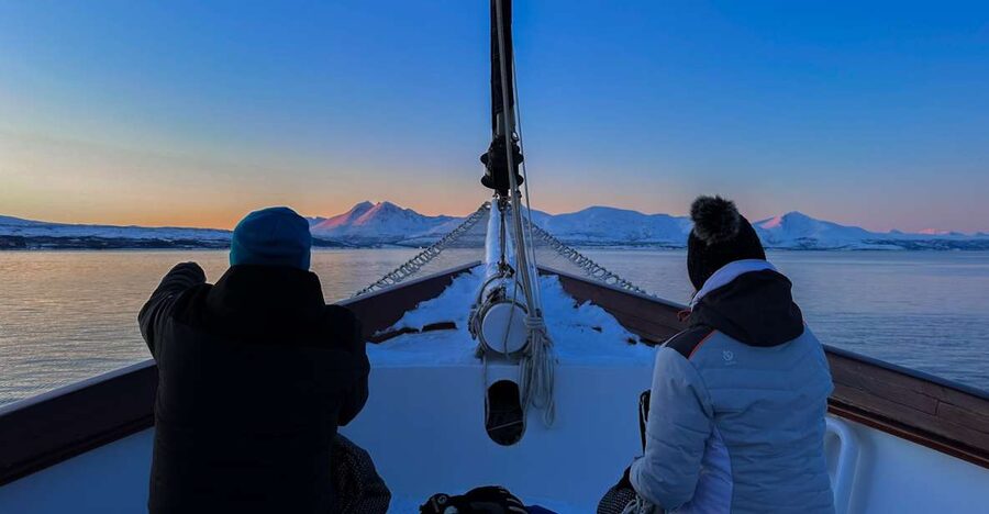 Tromsø: Luxury Polar Fjord Cruise w/ Hot Tub & Polar Plunge - Balsfjorden and the value of a flexible route