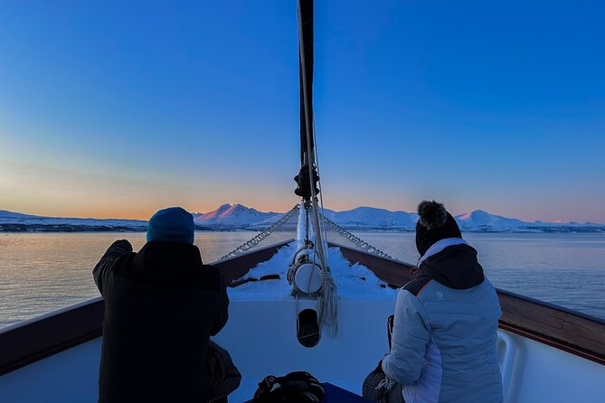 Tromso Luxury Sailing Yacht Polar Fjord Cruise with Lunch - Setting out from Sjøgata at 10 a.m.