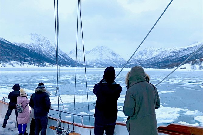 Tromso Luxury Sailing Yacht Polar Fjord Cruise with Lunch - Wildlife sightings and quiet Arctic moments