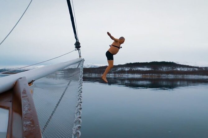 Tromso Luxury Sailing Yacht Polar Fjord Cruise with Lunch - Captain Kenneth, Sachi, and the small-group feel