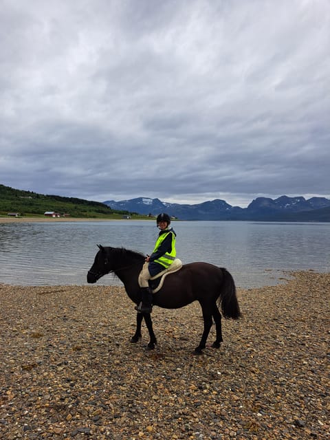 Tromsø: Lyngen Horse Summer Riding Experience - Why this horse ride feels different from a standard trail outing
