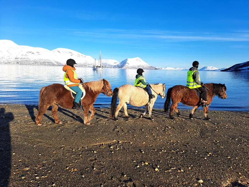 Tromsø: Lyngen Horse Summer Riding Experience - Stories from the farm and the Second World War