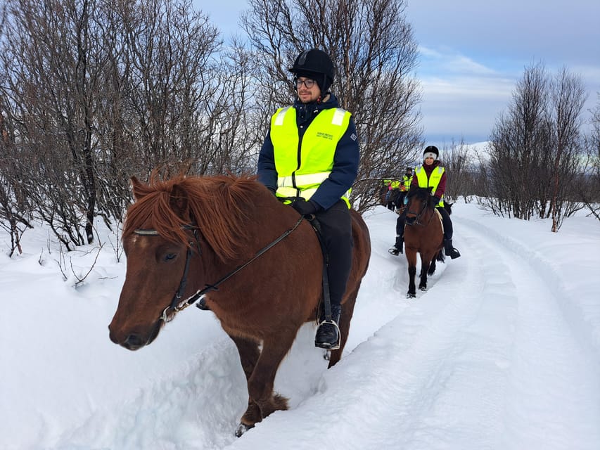 Tromsø: Lyngen Horse Winter Riding Experience - A rare horse at the heart of the visit