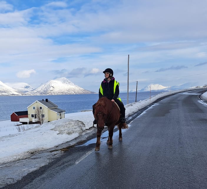 Tromsø: Lyngen Horse Winter Riding Experience - The local stories make the ride more than scenery