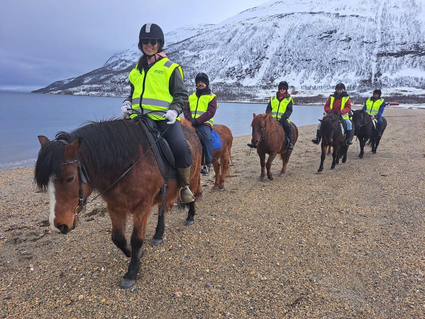 Tromsø: Lyngen Horse Winter Riding Experience - Is $262 a fair price?