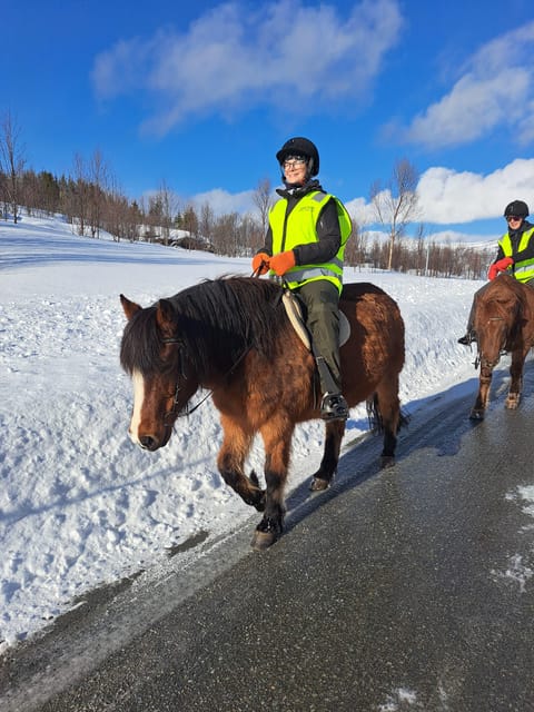 Tromsø: Lyngen Horse Winter Riding Experience - Getting there and preparing for winter