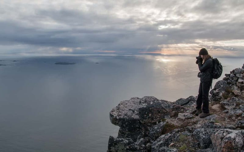 Tromsø: Midnight Sun Hike in the wilderness - Learning about Arctic plants and animals