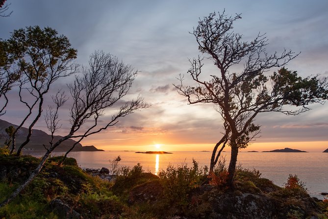 Tromsø: Midnight Sun with Campfire with Wandering Owl - Weather, clothing, and comfort