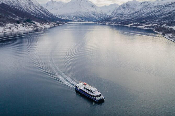 Tromsø, Northern Lights and Wilderness Evening Catamaran Cruise - Who will enjoy this cruise most?