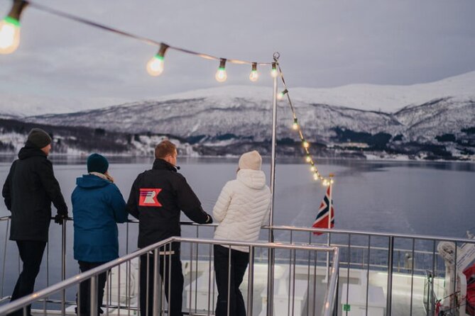 Tromsø, Northern Lights and Wilderness Evening Catamaran Cruise - Booking, cancellation, and small practical details