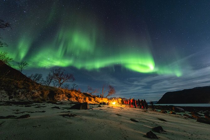 Tromsø: Northern Lights by Minibus - Free Photos and Warm Dinner - At a glance