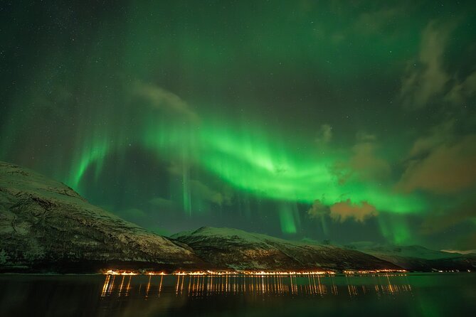 Tromsø: Northern Lights by Minibus - Free Photos and Warm Dinner - Who should book this Tromsø aurora tour?