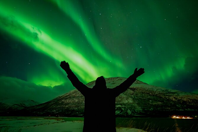 Tromsø: Northern Lights by Minibus - Free Photos and Warm Dinner - What the evening feels like from pickup to return