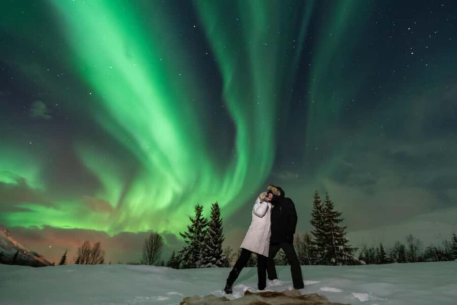 Tromsø: Northern Lights Chase by a comfortable bus - Key points at a glance